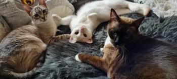 Coco Bild von Coco