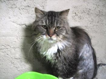 Lolo Bild von Lolo