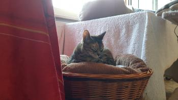 Estela Bild von Estela
