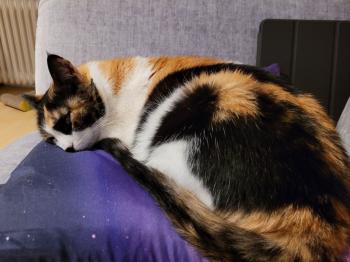 Mina Bild von Mina