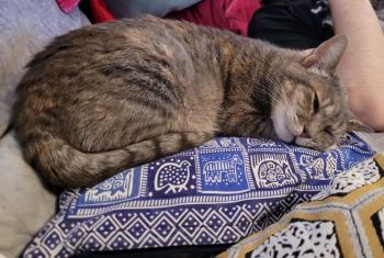 Nyasha Bild von Nyasha