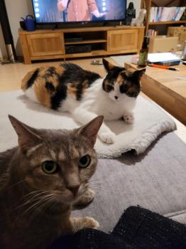 Nyasha Bild von Nyasha