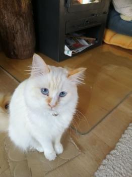 Runa Bild von Runa