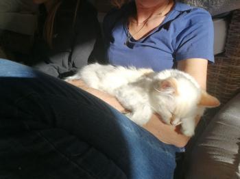 Runa Bild von Runa
