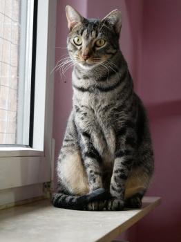 Lazlo Bild von Lazlo