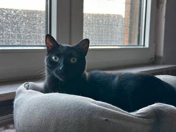 Morty Bild von Morty