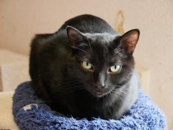 Morty Bild von Morty
