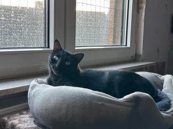 Morty Bild von Morty