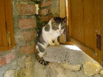 Charly Bild von Charly