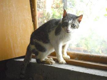 Charly Bild von Charly