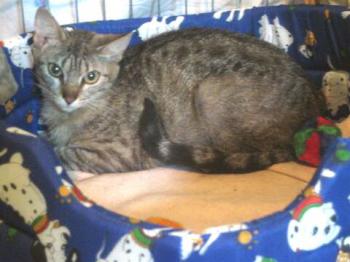 Juno Bild von Juno