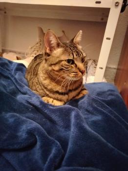 Carla Bild von Carla