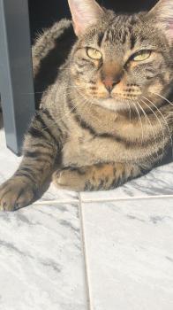 Carla Bild von Carla