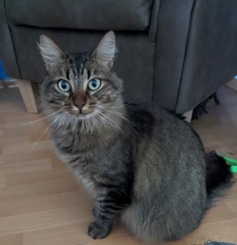 Marte Bild von Marte