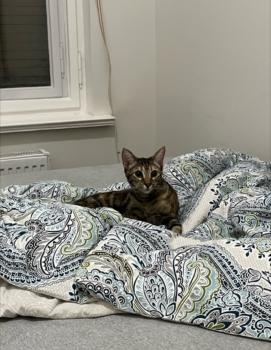 Elanor Bild von Elanor