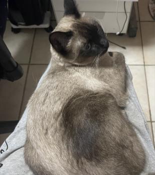 Princess Bild von Princess