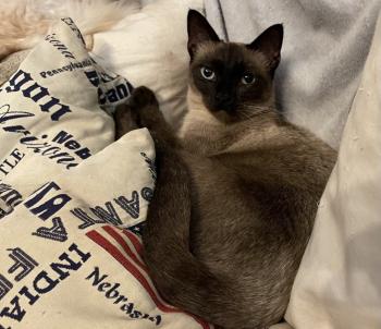Princess Bild von Princess