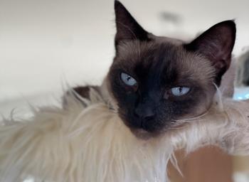 Princess Bild von Princess