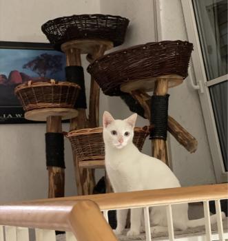 Fahsai Bild von Fahsai