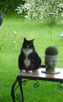 Susi Bild von Susi