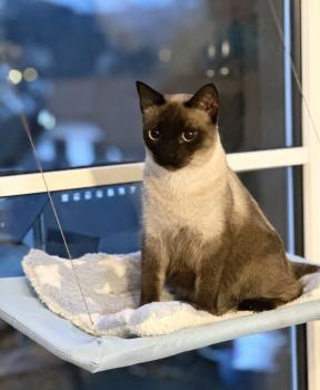 Princess Bild von Princess