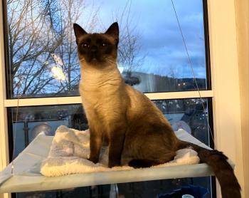 Princess Bild von Princess