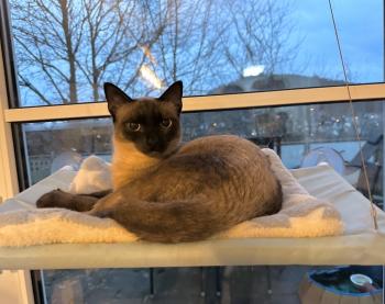 Princess Bild von Princess