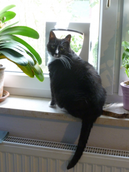 Susi Bild von Susi
