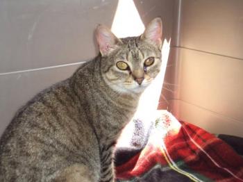 Migoya Bild von Migoya