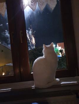 Casper Bild von Casper