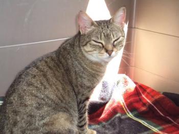 Migoya Bild von Migoya