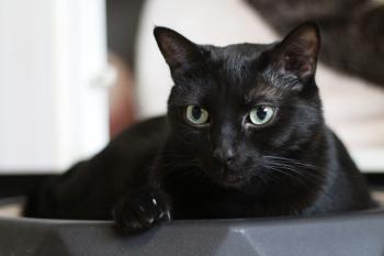 Morty Bild von Morty