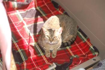 Migoya Bild von Migoya