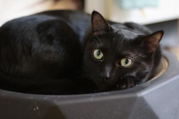 Morty Bild von Morty