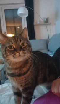 Lee Bild von Lee