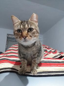Bimba Bild von Bimba
