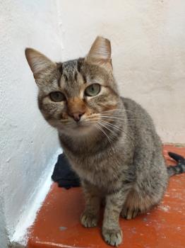 Bimba Bild von Bimba