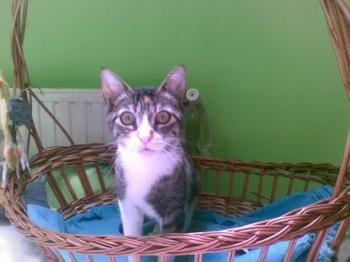 Nora Bild von Nora