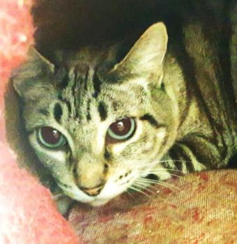 Babette Bild von Babette