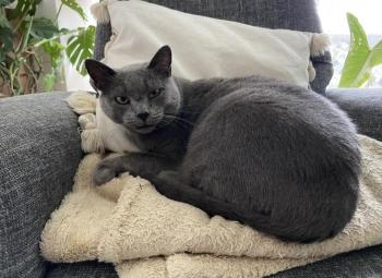 Sascha Bild von Sascha