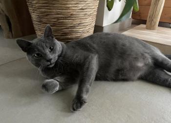 Sascha Bild von Sascha