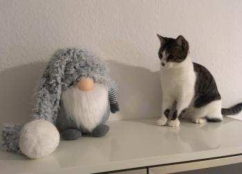 Misandei Bild von Misandei