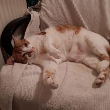 Quini Bild von Quini