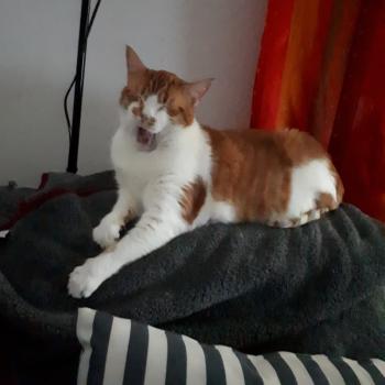 Quini Bild von Quini