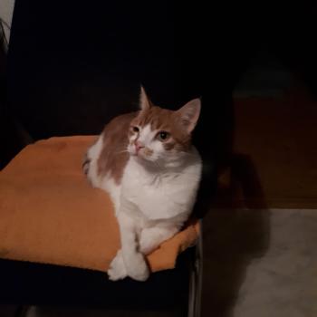 Quini Bild von Quini