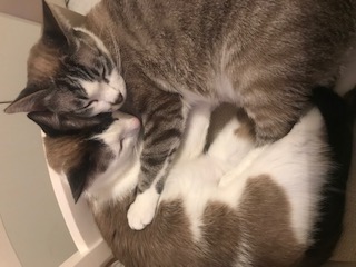 Nap Bild von Nap