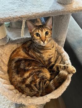 Elanor Bild von Elanor