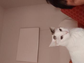 Desirée Bild von Desirée
