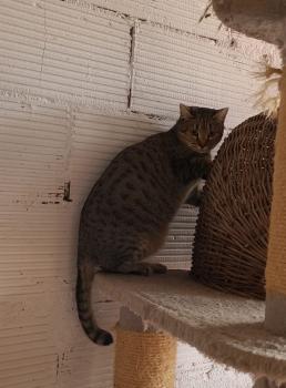Mishi Bild von Mishi