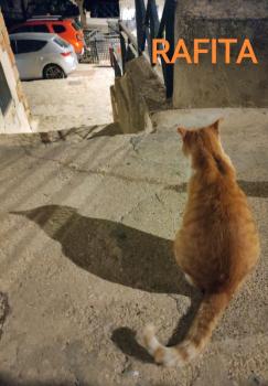 Rafita Bild von Rafita